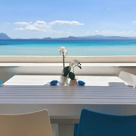 Delfino Azzurro * Golfo Aranci