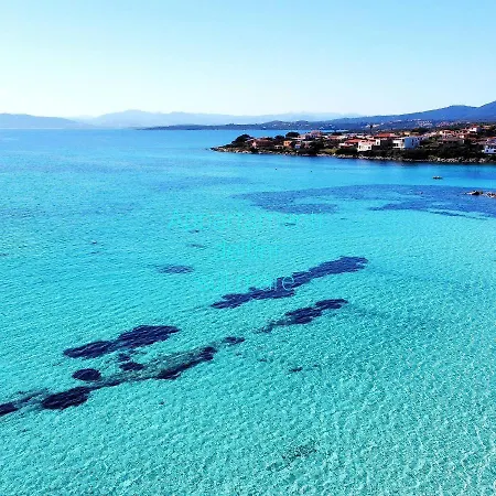 Delfino Azzurro Daire