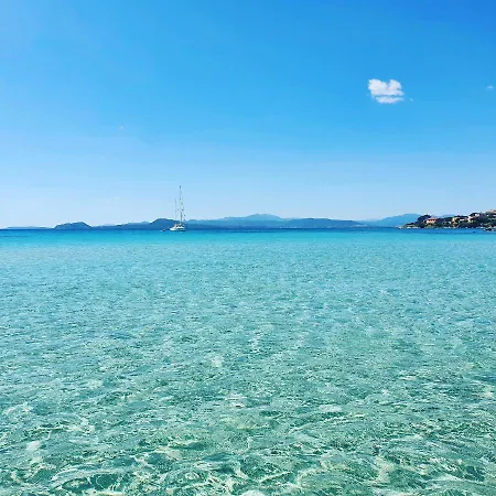 Daire Delfino Azzurro *