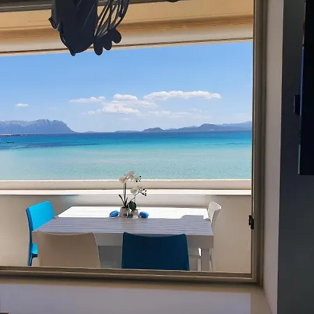 Delfino Azzurro *