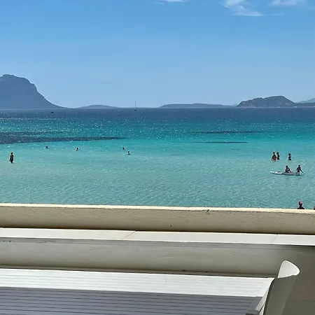 Delfino Azzurro *