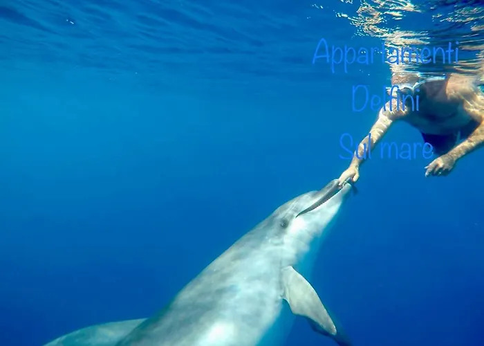 Delfino Azzurro * Golfo Aranci